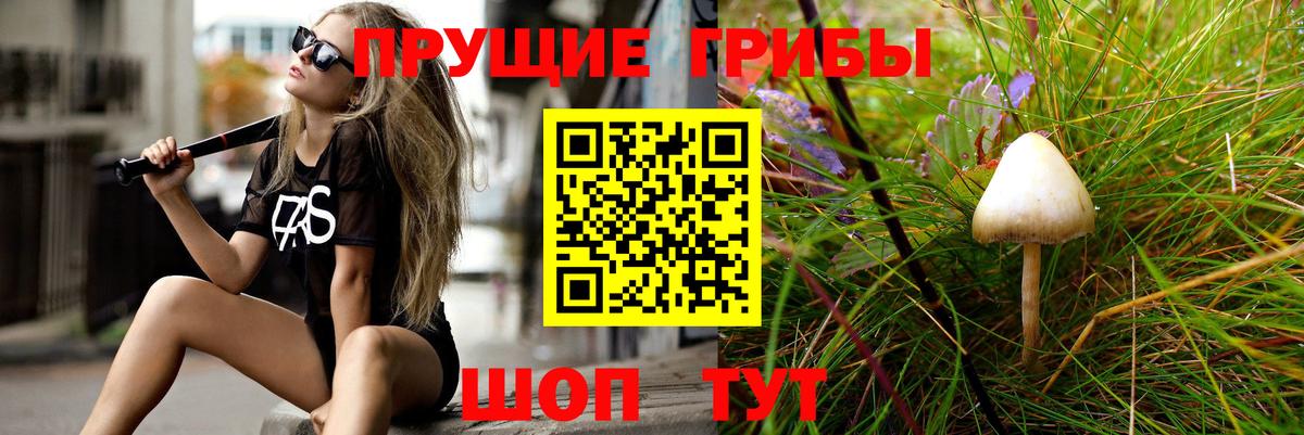 Псилоцибиновые грибы мухоморы  Вход с VPN  Анжеро-Судженск 